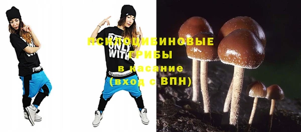 прущие крисы Алексеевка